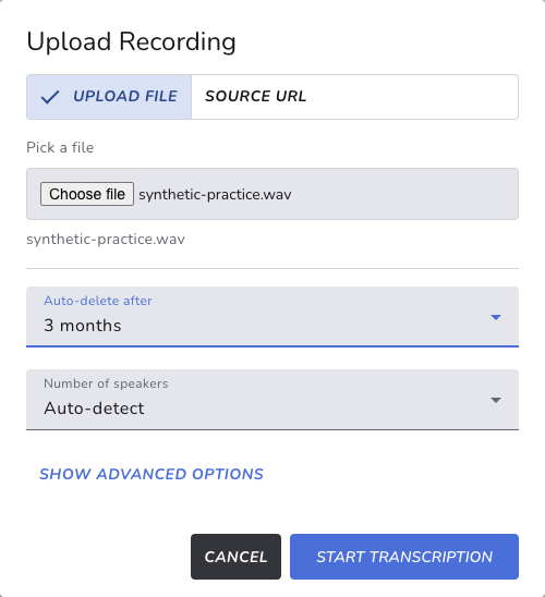 Cue upload dialog with a synthetic audio file, a three-month deletion period and automatic speaker detection